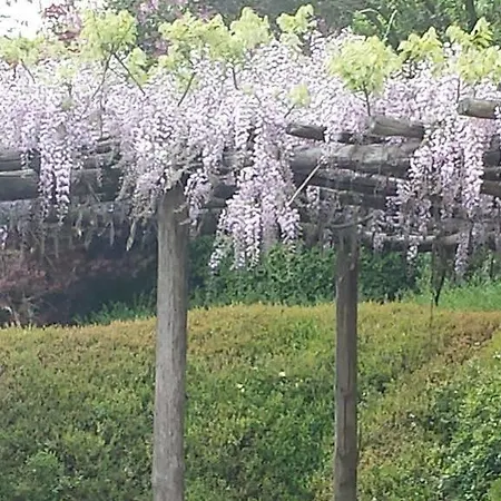 Cascina Belvedere